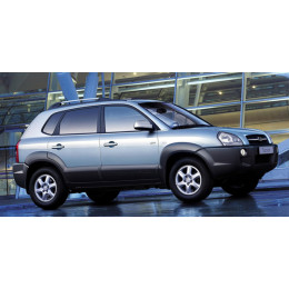 I (2004-2010)