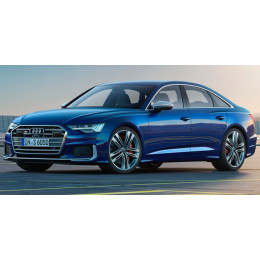 V C8 (2019-н.в.)